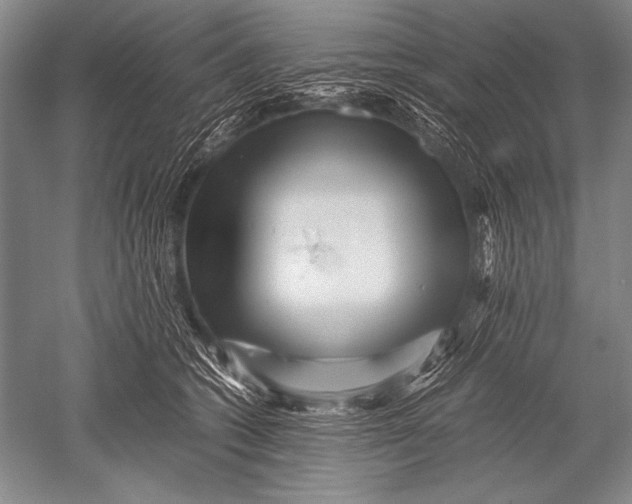 X0000051270562200507082246