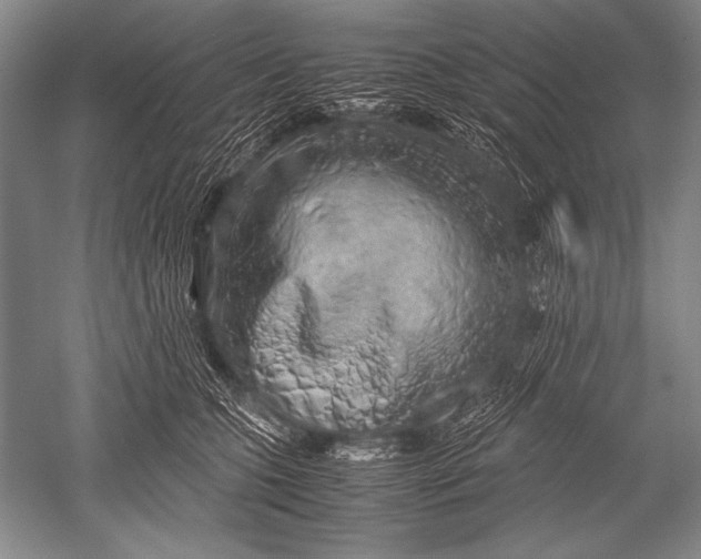 X0000051270563200507082246