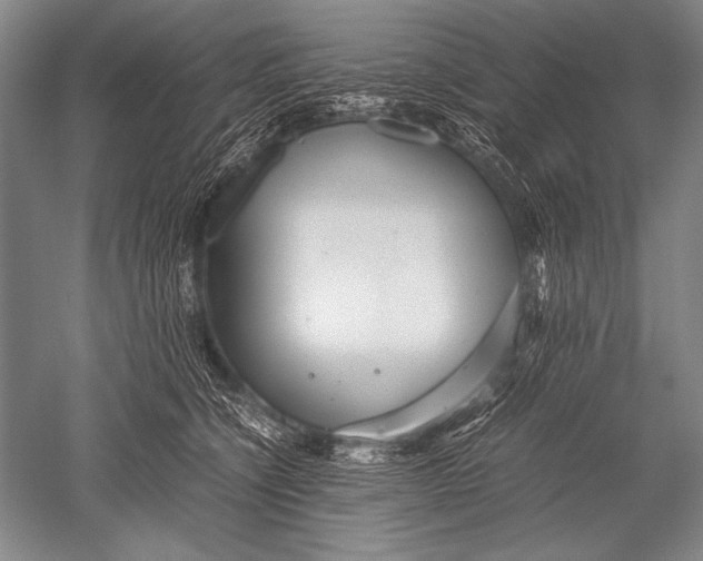 X0000051270564200507082246