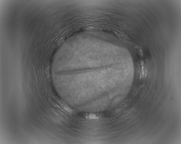 X0000051270565200507082246
