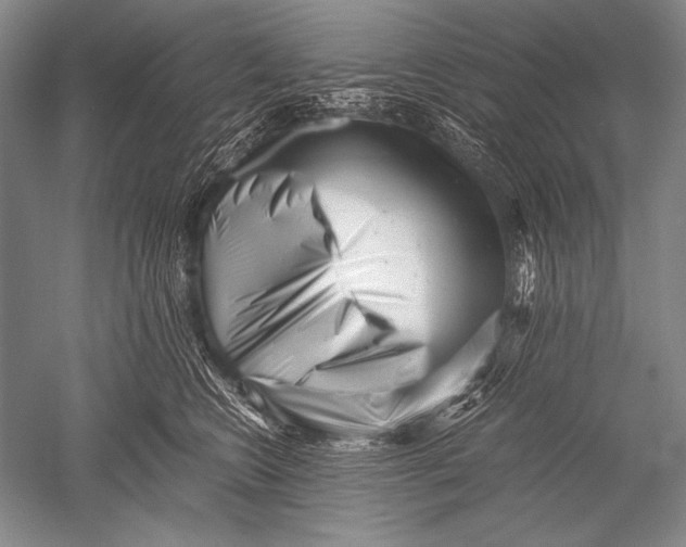 X0000051270566200507082246