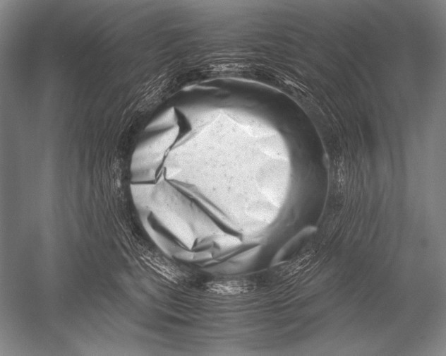 X0000051270567200507082246