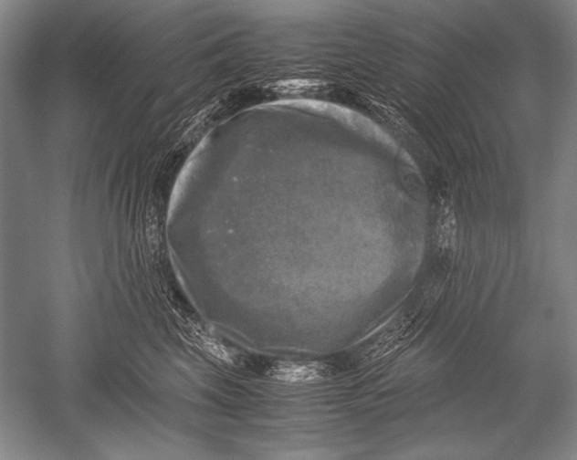 X0000051270569200507082246