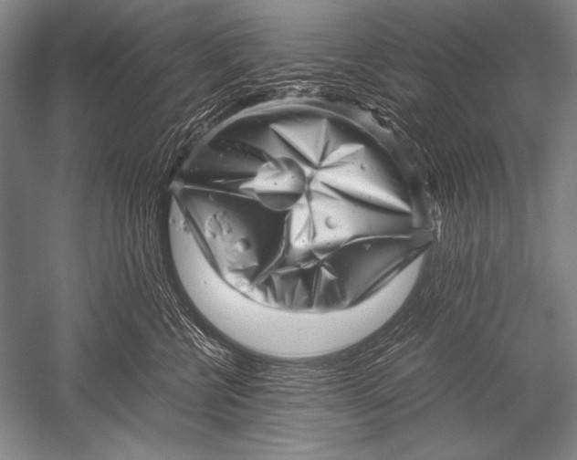 X0000051270570200507082246