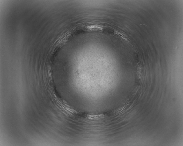 X0000051270571200507082246