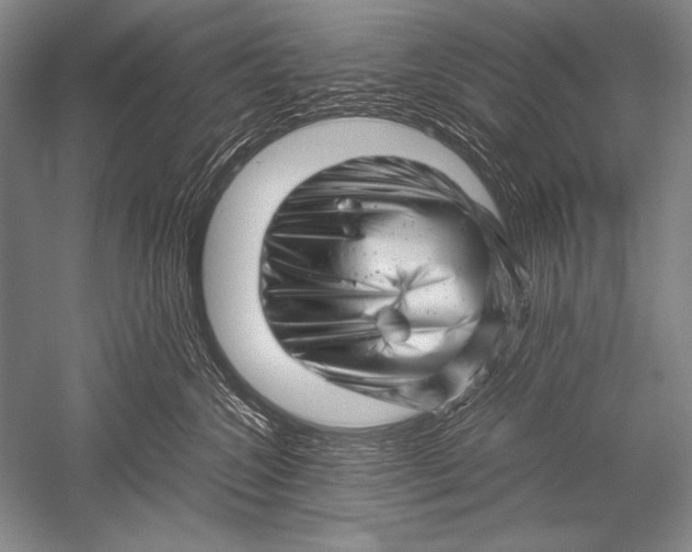 X0000051270572200507082246
