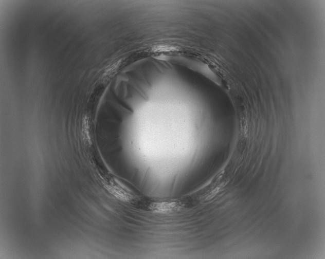 X0000051270575200507082246
