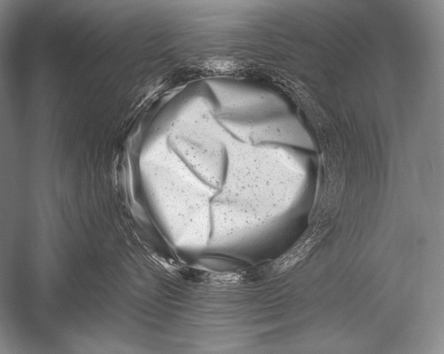 X0000051270576200507082246