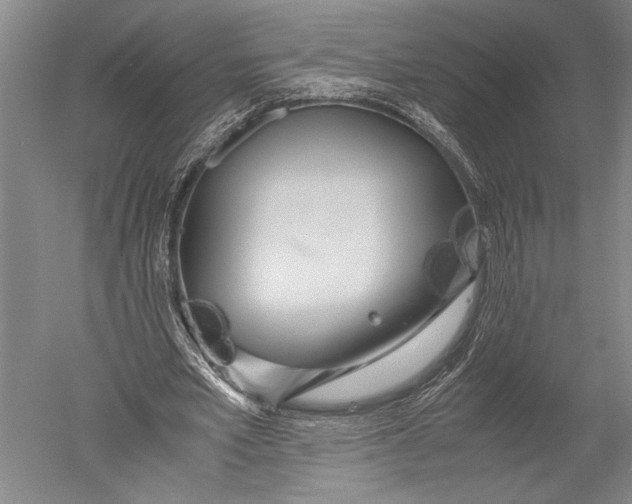 X0000051270581200507082245