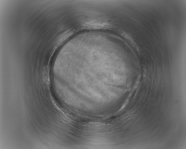 X0000051270582200507082245
