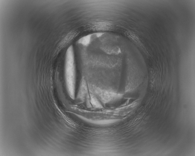 X0000051270586200507082245