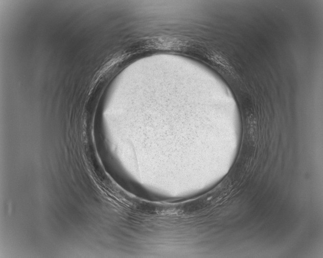 X0000051270587200507082245