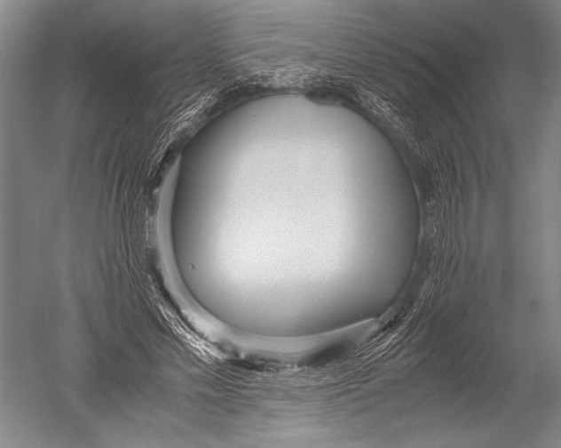 X0000051270589200507082245
