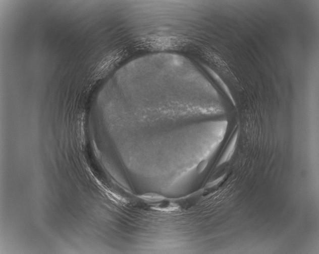 X0000051270590200507082245