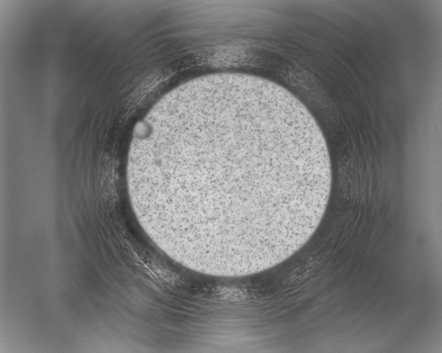 X0000051270592200507082245
