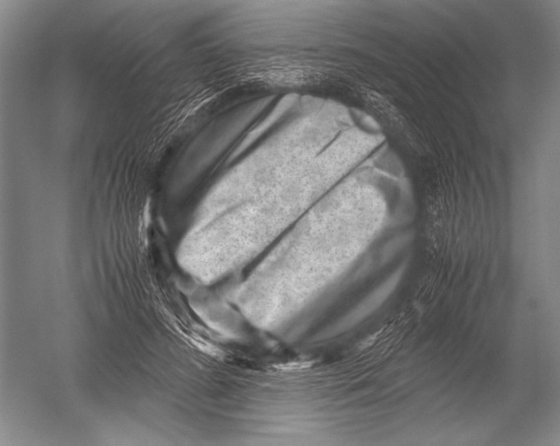 X0000051270596200507082245