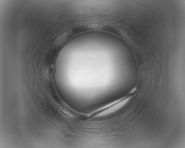 X0000051270597200507082245
