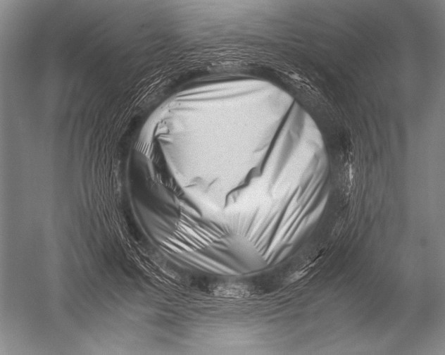 X0000051270599200507082245