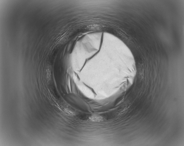 X0000051270603200507082245