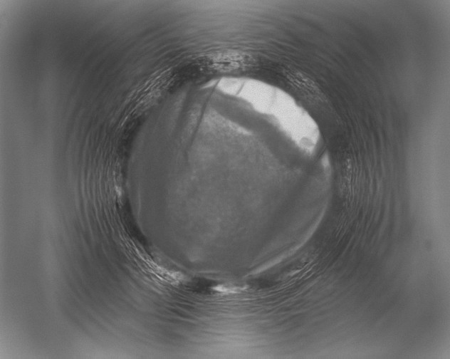 X0000051270606200507082245