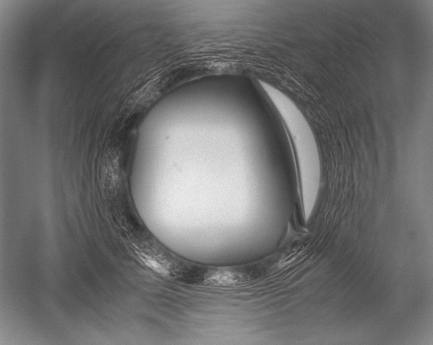 X0000051270611200507082245