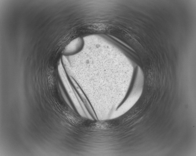 X0000051270612200507082245