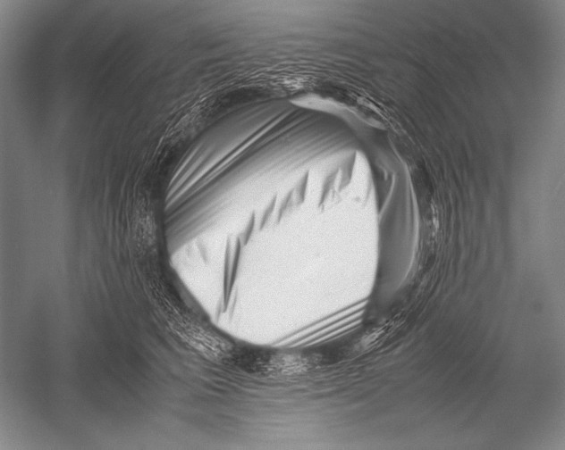 X0000051270613200507082245