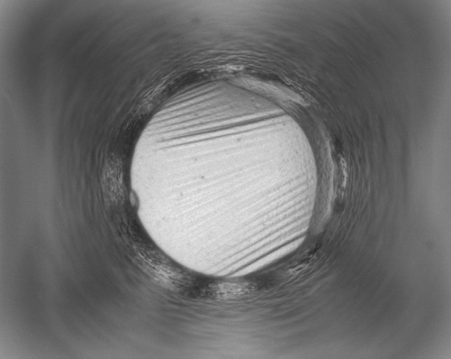 X0000051270615200507082245