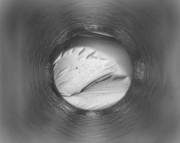 X0000051270616200507082245