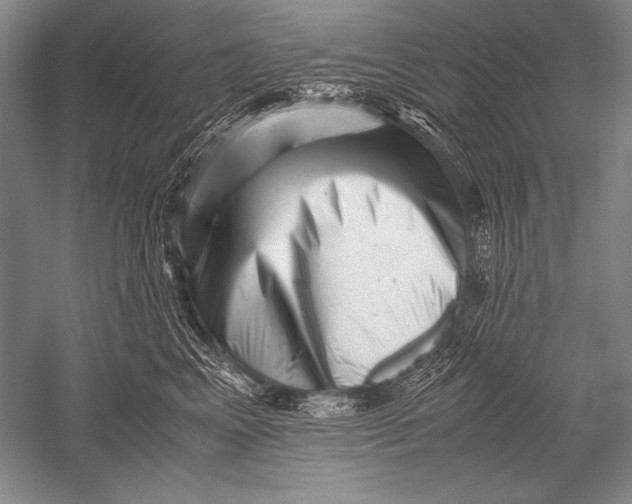 X0000051270617200507082245