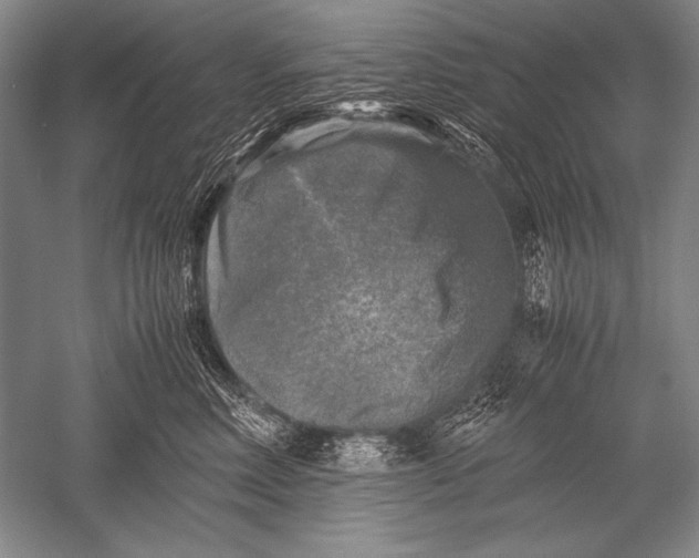 X0000051270618200507082245
