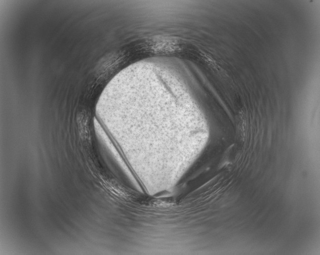 X0000051270619200507082245