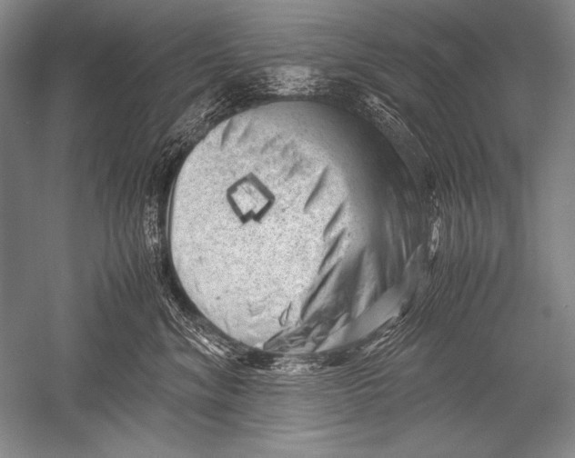X0000051270620200507082245
