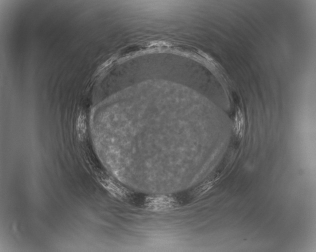 X0000051270621200507082245