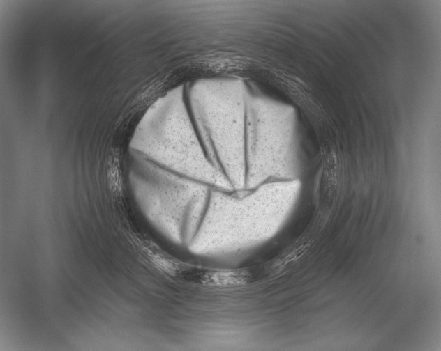 X0000051270622200507082244