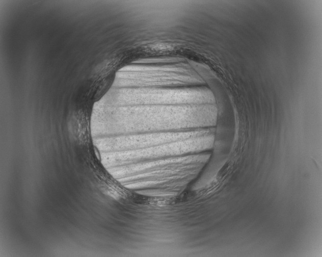 X0000051270624200507082244