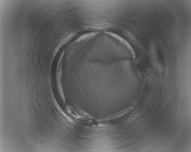X0000051270634200507082244