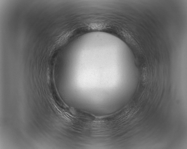 X0000051270639200507082244