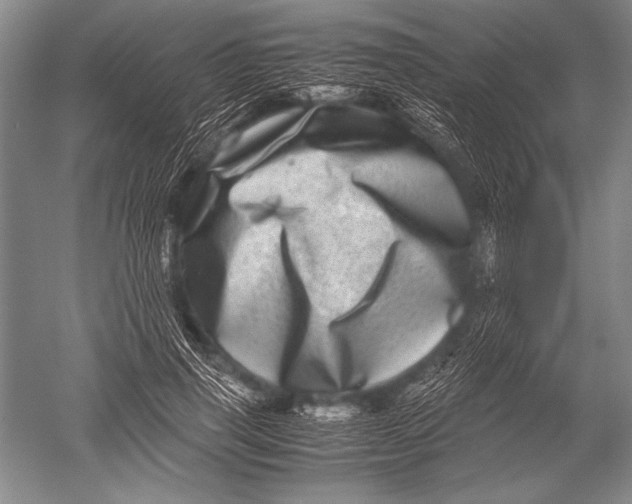 X0000051270645200507082244