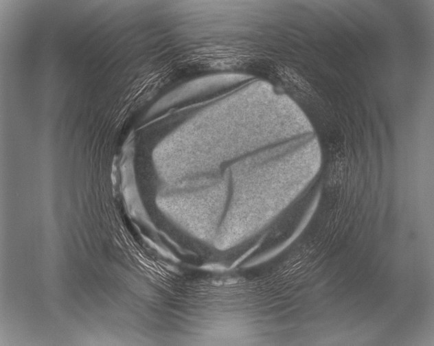 X0000051270646200507082244