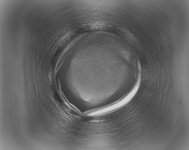 X0000051270648200507082244