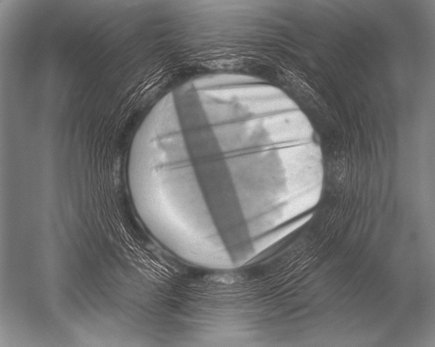 X0000051270652200507082244