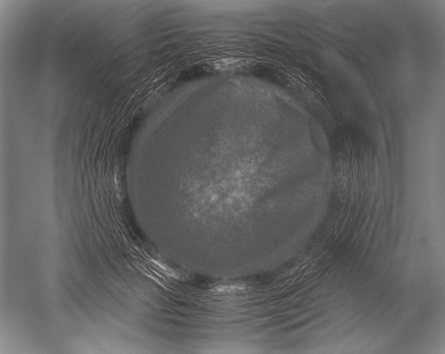 X0000051270653200507082244