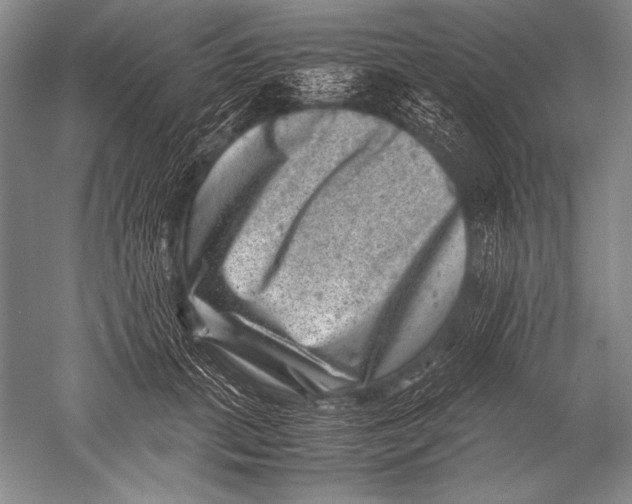 X0000051270655200507082244