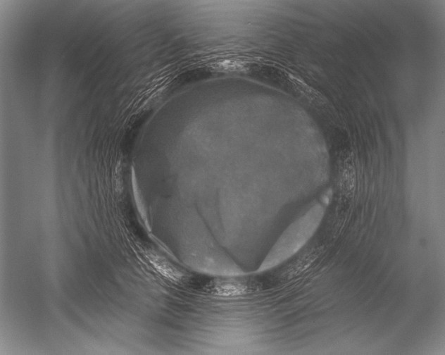 X0000051270658200507082244