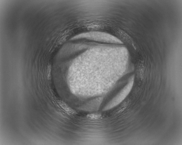 X0000051270660200507082244