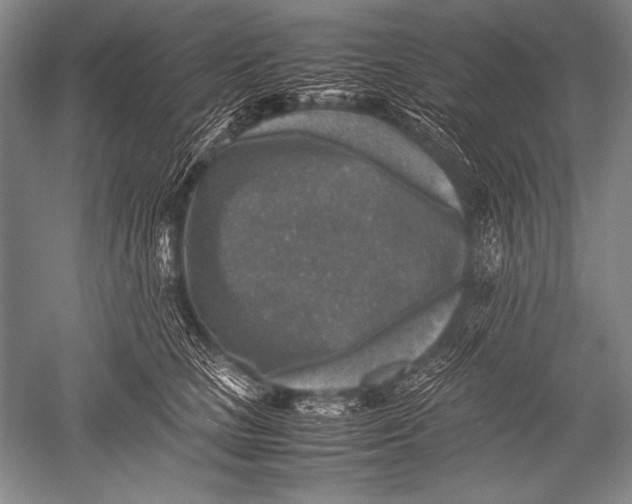 X0000051270661200507082244
