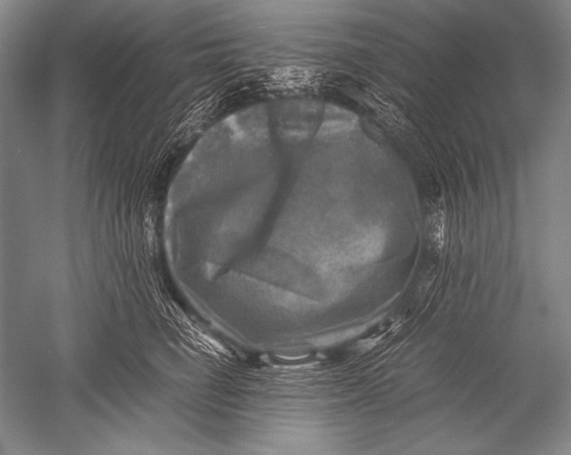 X0000051270662200507082244