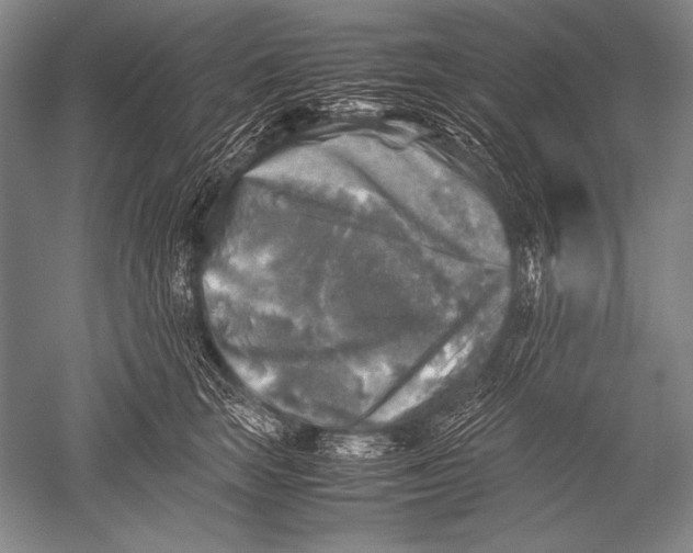 X0000051270663200507082244