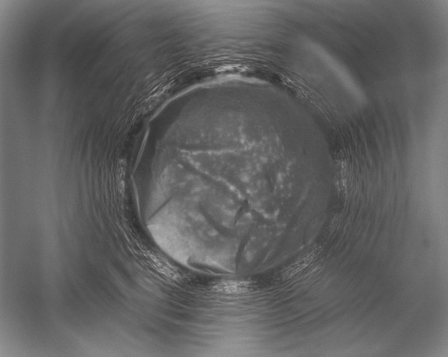 X0000051270664200507082244